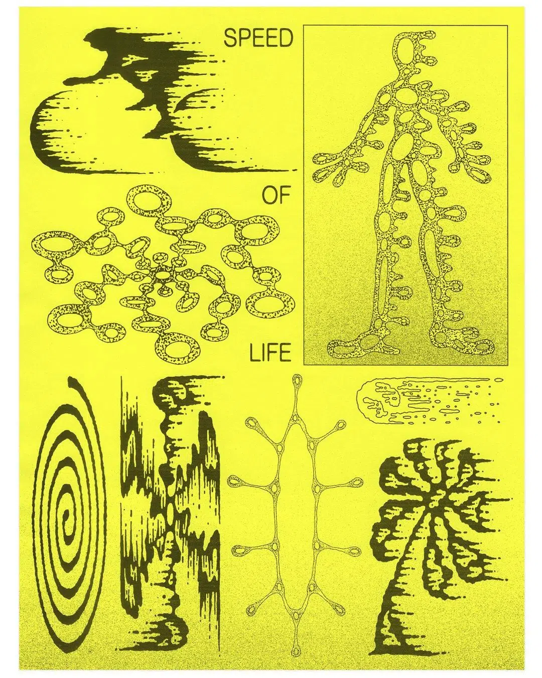 A cover of "River" cluster. The owner is petmon. The cluster consists of 3 elements.