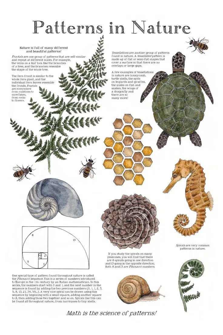 A cover of "Pattern" cluster. The owner is blanchedegris. The cluster consists of 11 elements.