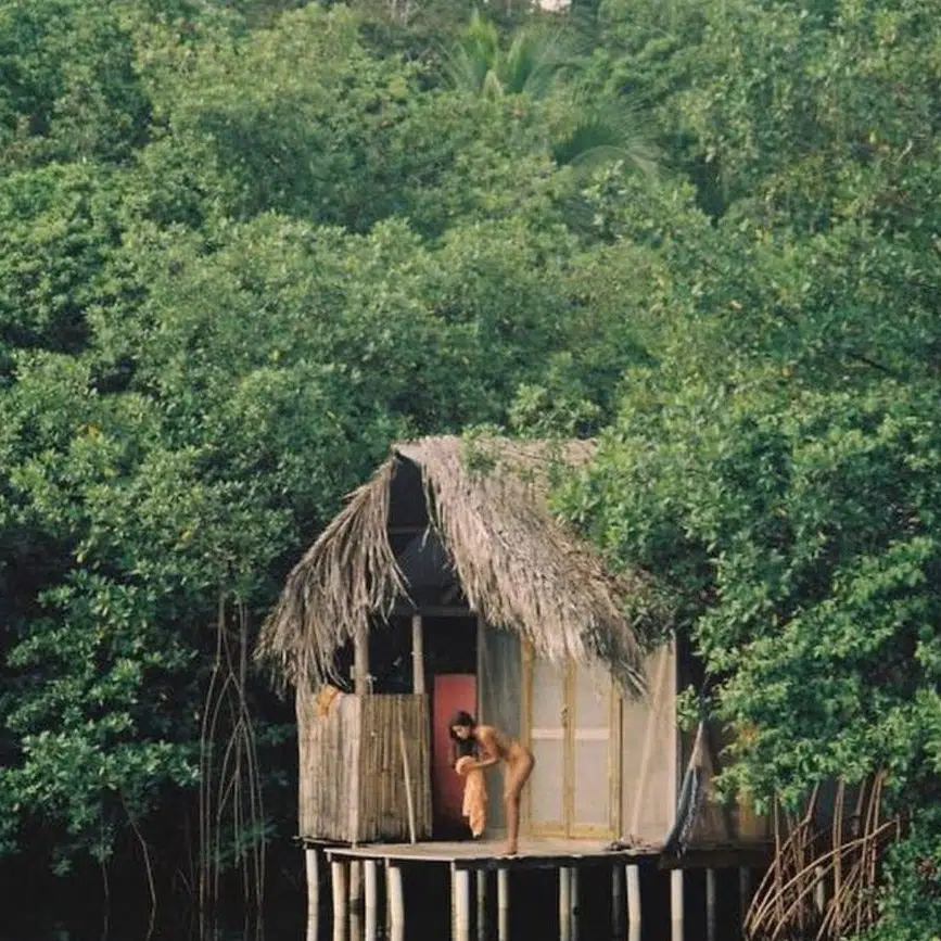 A cover of "Wild Mandari" cluster. The owner is emilyaroha. The cluster consists of 56 elements.