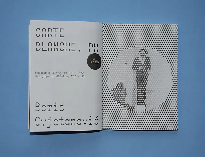 A cover of "zine" cluster. The owner is mollyh0612. The cluster consists of 27 elements.