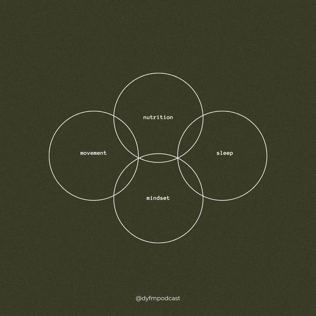 A cover of "Daily basis" cluster. The owner is lmrojasolarte. The cluster consists of 1 element.