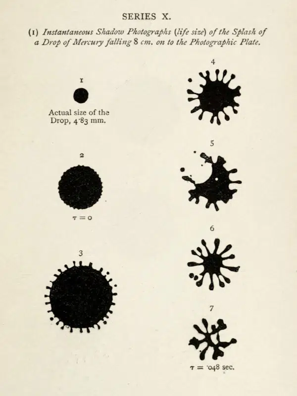 A cover of "Rare Myth" cluster. The owner is mooniii. The cluster consists of 13 elements.