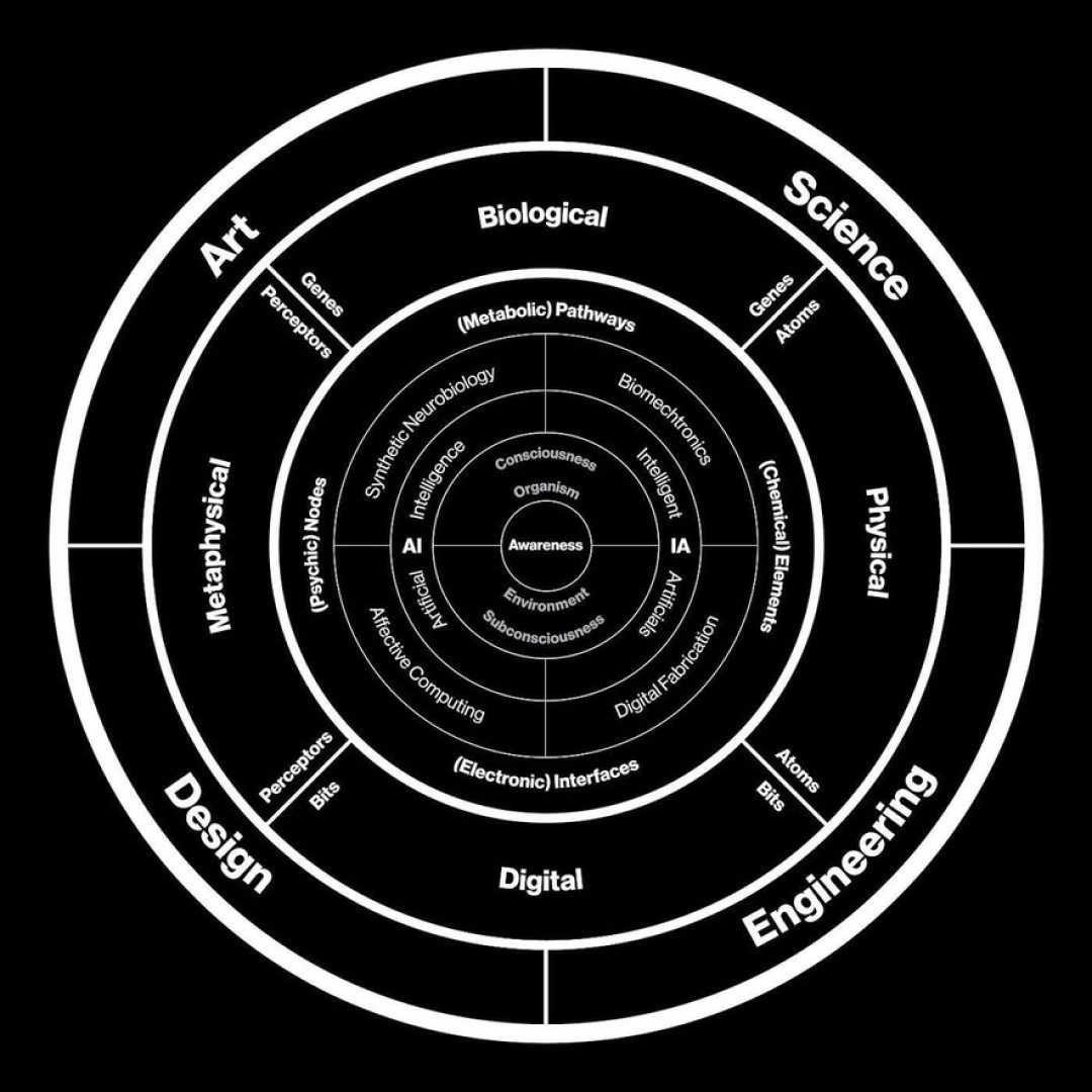 A cover of "circle" cluster. The owner is sesryozha. The cluster consists of 2 elements.