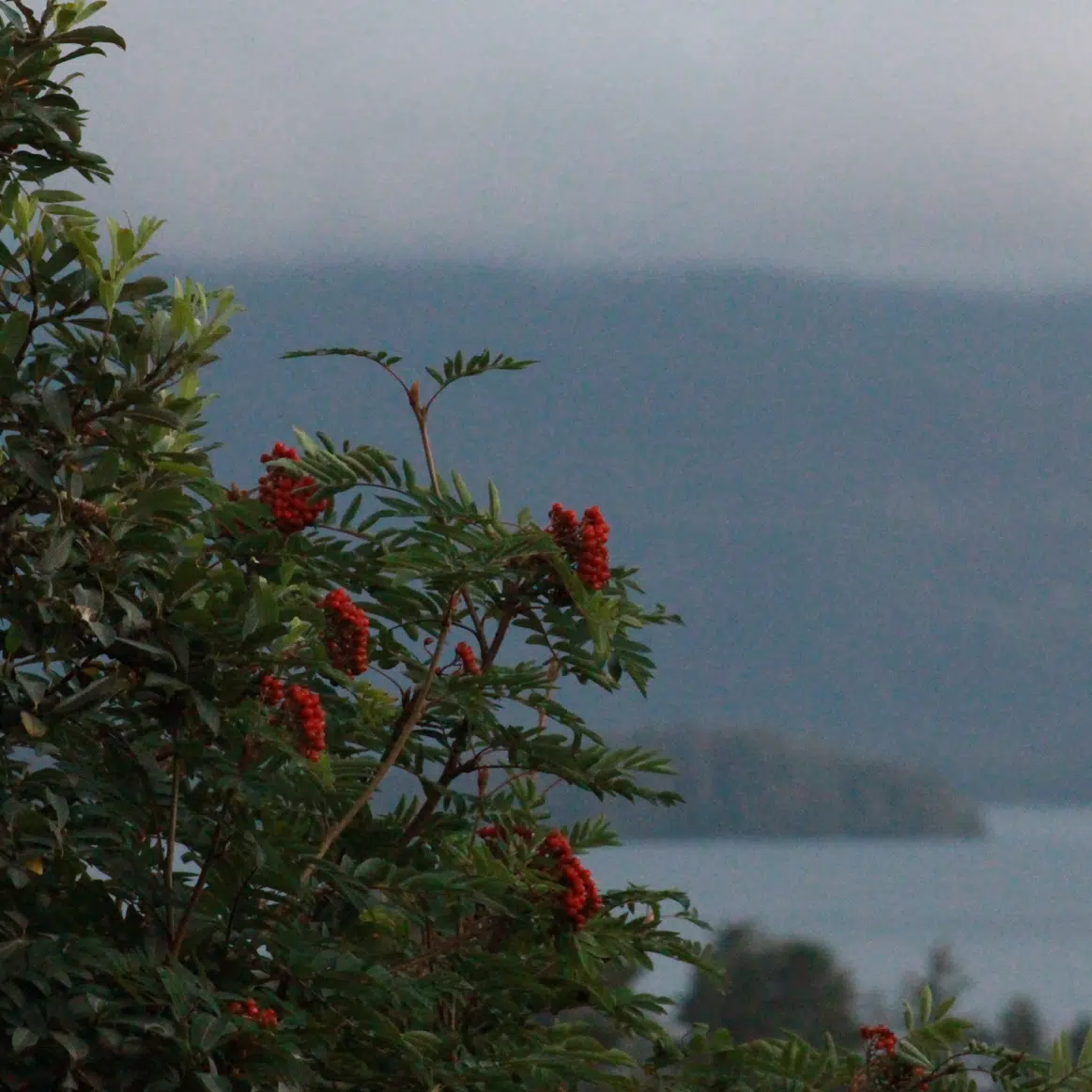 A cover of "Sitka, Alaska" cluster. The owner is lynns. The cluster description is "all photos taken by Lynn Sutherland". The cluster consists of 39 elements.