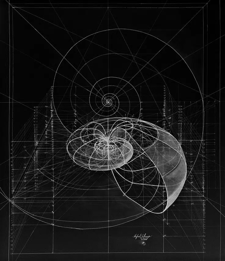 A cover of "Giramos en espirales" cluster. The owner is lmrojasolarte. The cluster consists of 17 elements.