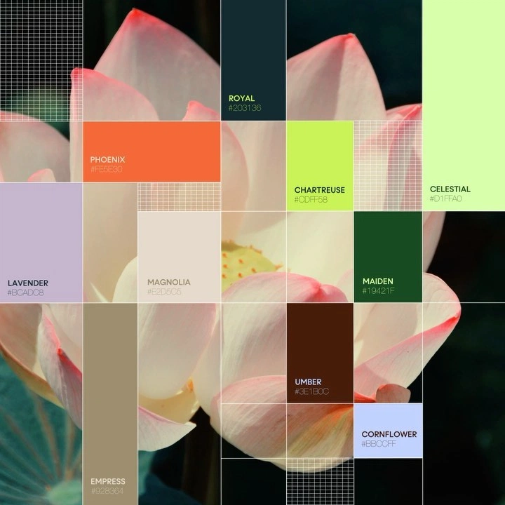 A cover of "Color" cluster. The owner is somos.studios. The cluster consists of 5 elements.