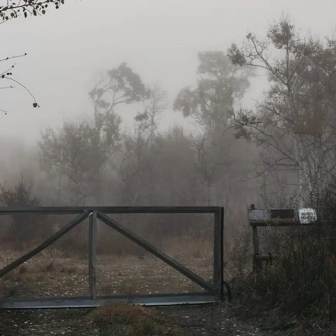 A cover of "prairies" cluster. The owner is kimklassen. The cluster consists of 11 elements.