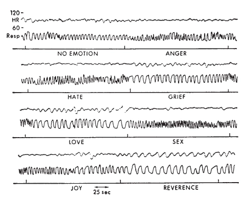 Cover of senses cluster