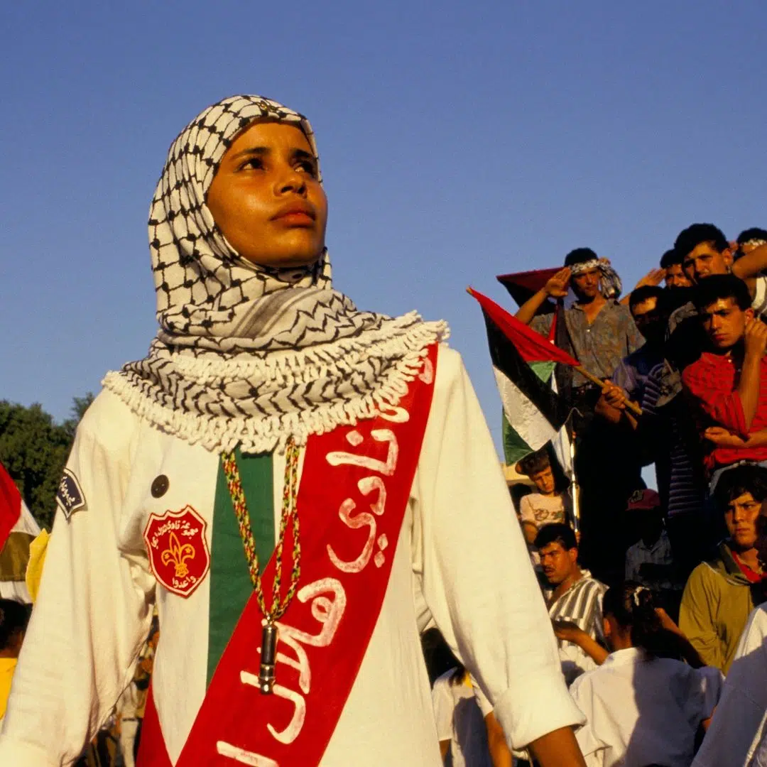 A cover of "Palestine" cluster. The owner is connecticut. The cluster consists of 55 elements.